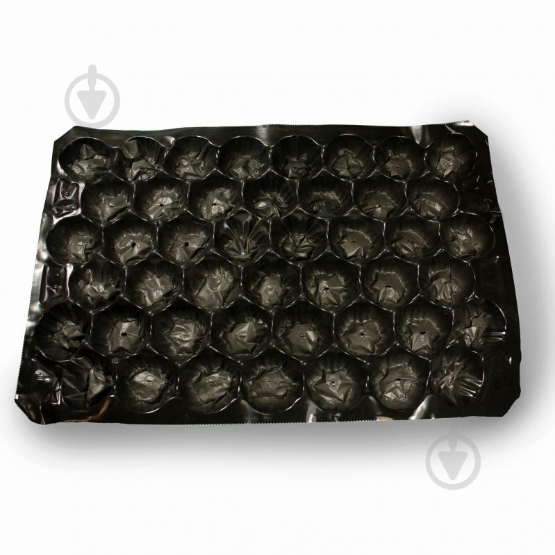 Petruzalek - фото 1