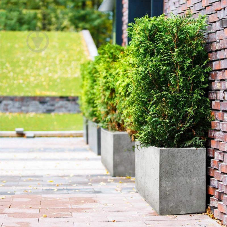 Клумба Craft concrete - фото 3 Клумба Craft concrete - фото 3