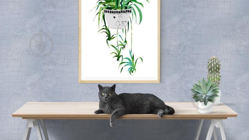 Фарба латексна водоемульсійна Element 2 мат білий 1 л - фото 2