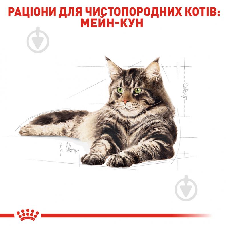 Корм сухой для кошек породы мейн-кун Royal Canin Maine Coon Adult 10 кг - фото 3