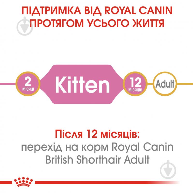 Корм сухий для кошенят Royal Canin Kitten British Shorthair 10 кг - фото 3