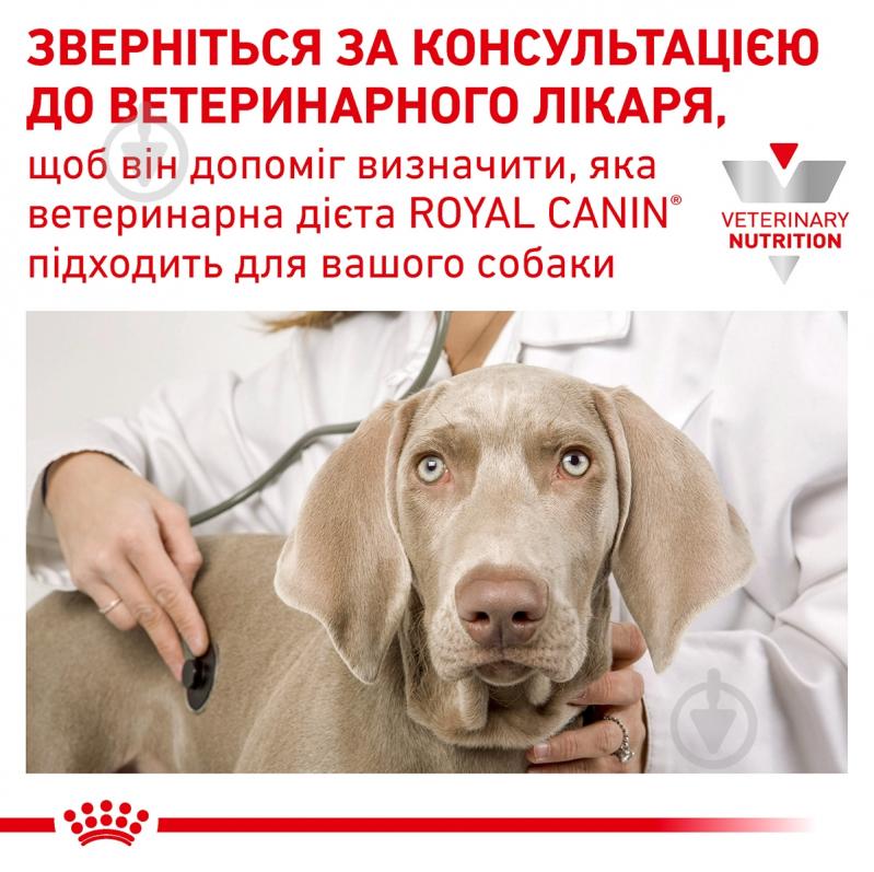 Паштет для собак для всех пород Royal Canin Satiety Weight Management 410 г - фото 8