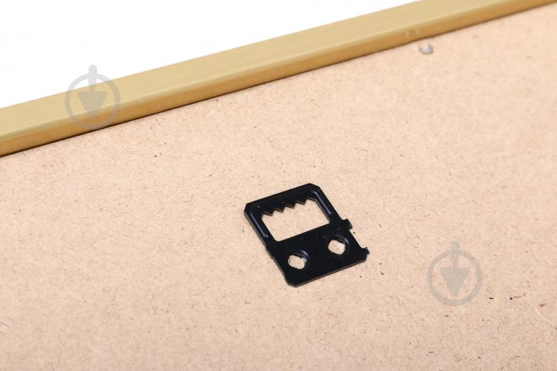 Картина Kitty II 30x40 см Styler OB-22690 - фото 2