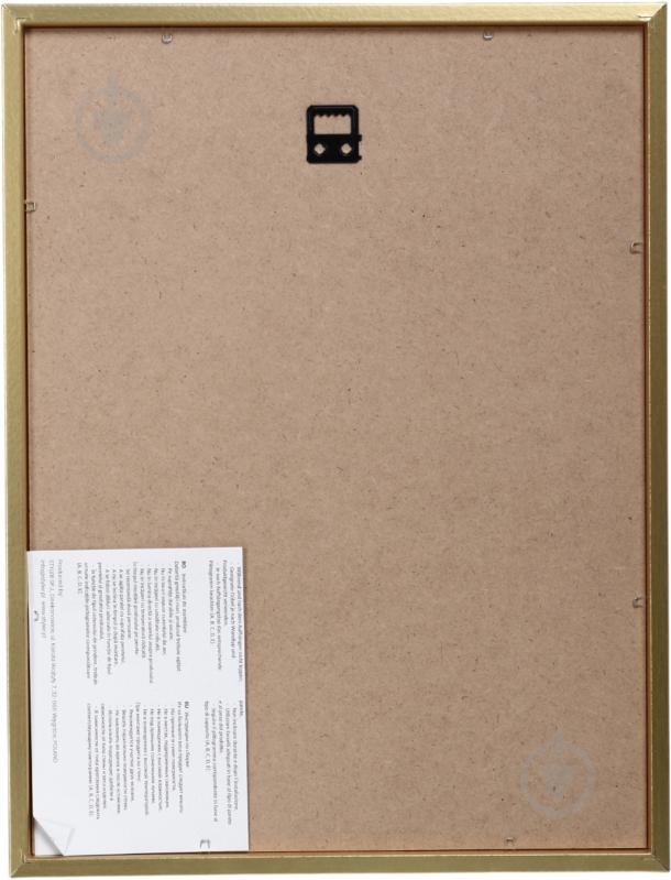 Картина Kitty II 30x40 см Styler OB-22690 - фото 3