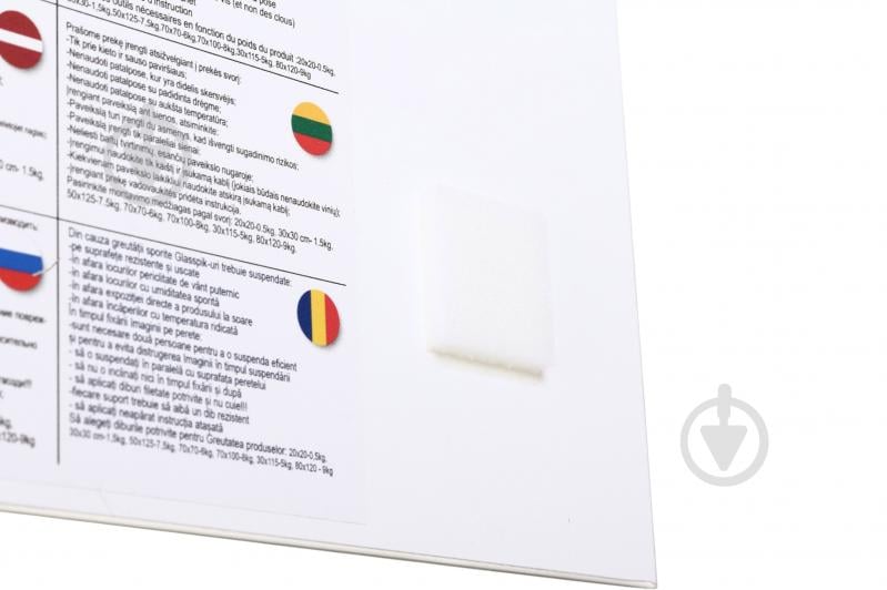 Картина на стекле Cat 30x30 см Styler GL-18358 - фото 4