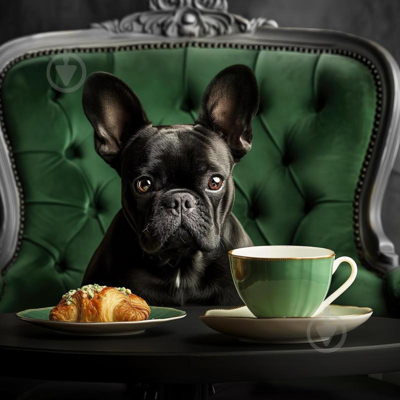 Картина на склі Bulldog 30x30 см Styler GL-18361 - фото 1