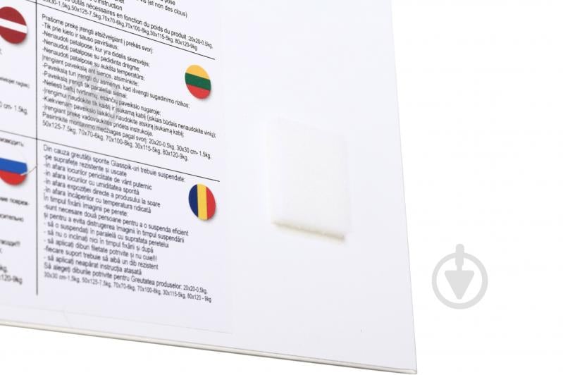 Картина на склі Bulldog 30x30 см Styler GL-18361 - фото 4