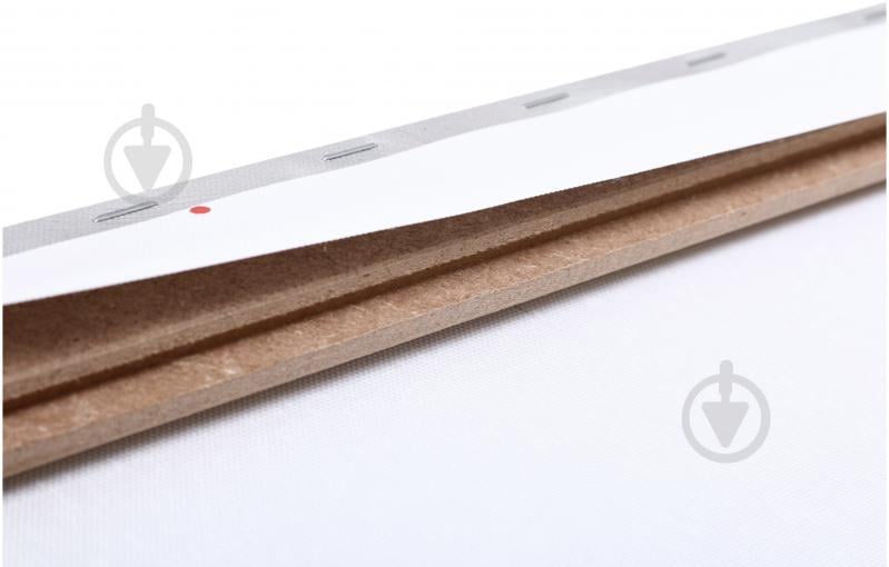 Картина Misty Magnolias 60x80 см Styler CA-17022 - фото 2