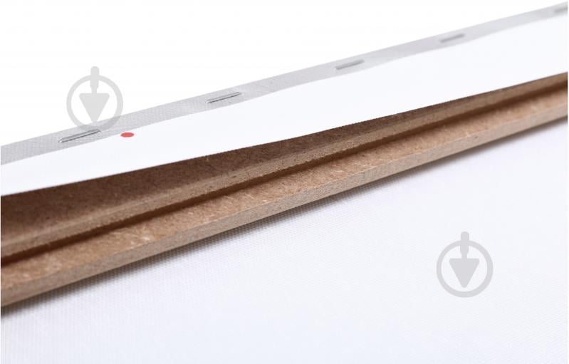 Картина Pure Peonies 60x80 см Styler CA-17021 - фото 2