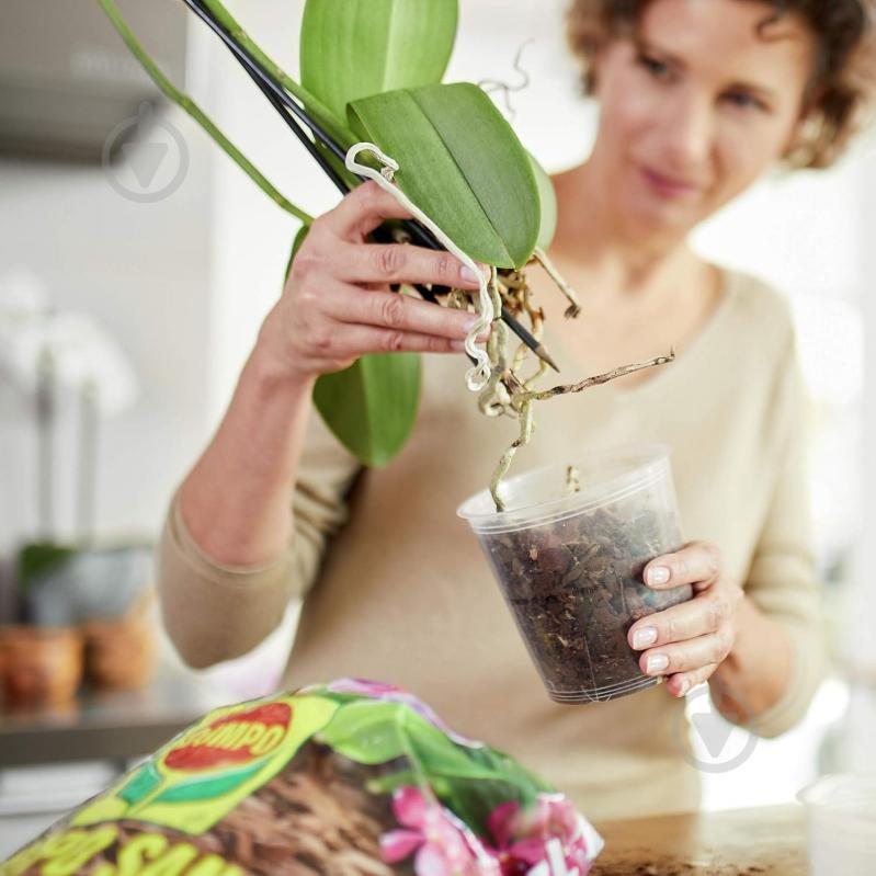 Субстрат для орхидей Compo SANA 5 л 1611 - фото 5 Субстрат для орхидей Compo SANA 5 л 1611 - фото 5