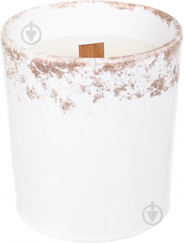 Свеча ароматическая Pako-If Ваниль в керамическом кашпо 85х120 мм - фото 1