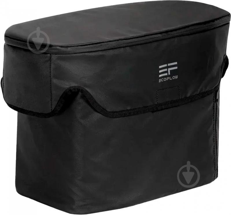 Сумка EcoFlow DELTA mini Bag black (BDELTAmini-US) - фото 1