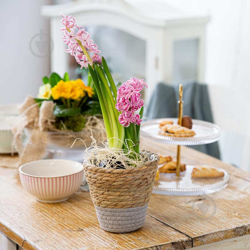 Килимок для сервірування Ambition 40 см, Boho, морська трава/бавовна - фото 2 Килимок для сервірування Ambition 40 см, Boho, морська трава/бавовна - фото 2