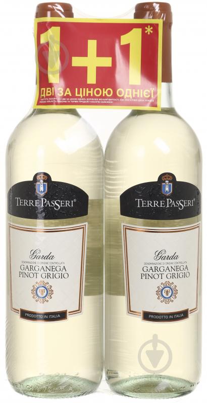 Набір Terre Passeri Pinot Grigio Garganega 2 x 0,75 л - фото 1