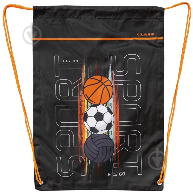 Сумка для обуви CLASS Sport 46х33 см 2540C - фото 1
