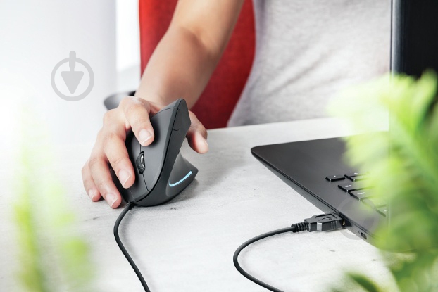 Мышка Trust VERTO ERGO grey (22885) - фото 6 Мышка Trust VERTO ERGO grey (22885) - фото 6