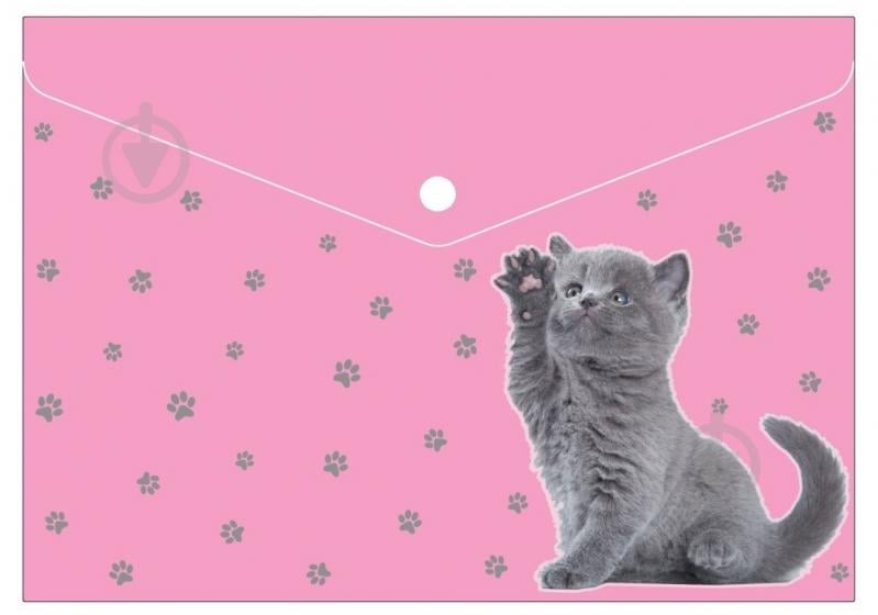 Папка-конверт A4 на кнопці 180 мкм глянець MX32012-14 Maxi - фото 1 Папка-конверт A4 на кнопці 180 мкм глянець MX32012-14 Maxi - фото 1