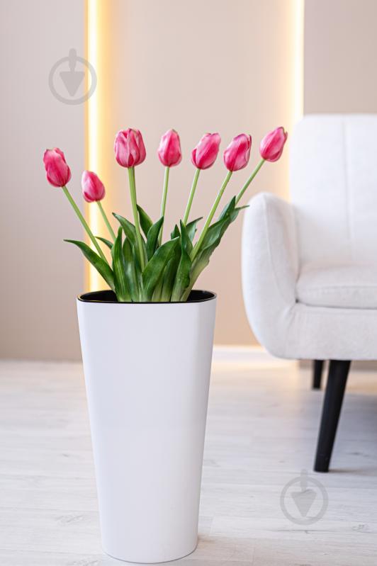 Горщик для квітів пластик Крокус 51 см круглий білий 11 л ММ-Пласт (K51wh) - фото 5 Горщик для квітів пластик Крокус 51 см круглий білий 11 л ММ-Пласт (K51wh) - фото 5