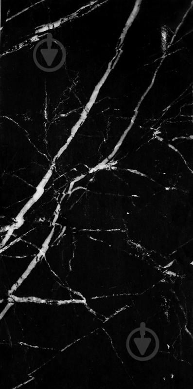 Плитка Атем Aurora Marquina Polished 60x120 - фото 1