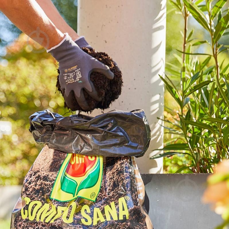 Торфосмесь Compo Сана Для всех видов хвойных растений 40 л 1621 - фото 11