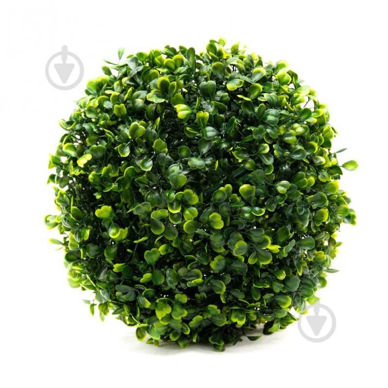 Растение искусственное Самшит 23 см - фото 1