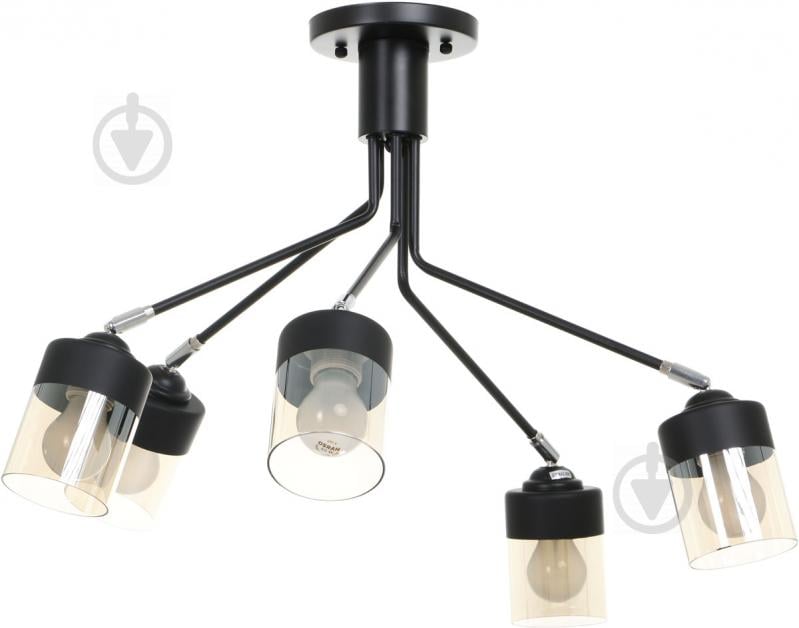 Светильник потолочный Accento lighting Artemisia ALKK-GH10263-5 5x60 Вт E27 черный - фото 1