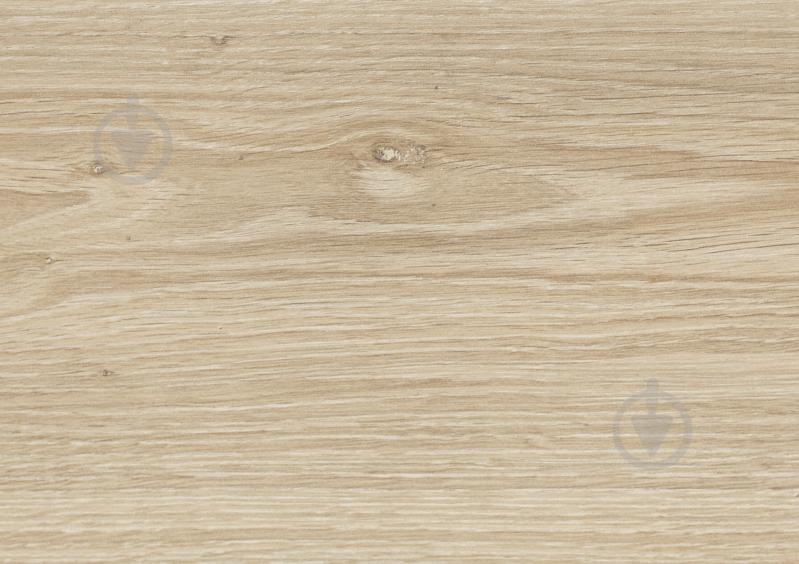 Ламинат King Floor Natural Line дуб северный 32/АС4 8 мм (KF 307) - фото 6