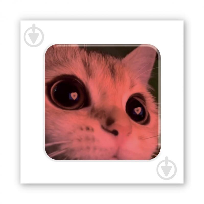 Стикер 3D Tattooshka 3D-стикер "Kitty Love" - фото 1 Стикер 3D Tattooshka 3D-стикер "Kitty Love" - фото 1