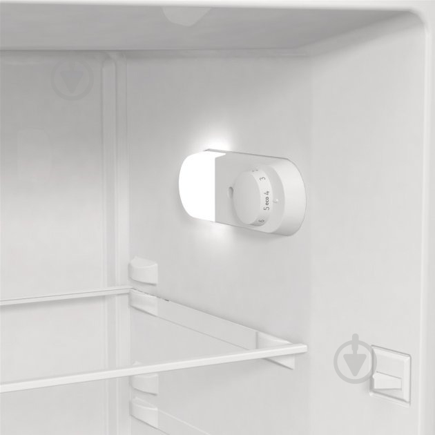 Холодильник Gorenje R615FES5 - фото 13