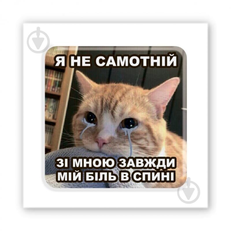 Стикер 3D Tattooshka 3D-стікер "Одинокий кот" - фото 1 Стикер 3D Tattooshka 3D-стікер "Одинокий кот" - фото 1