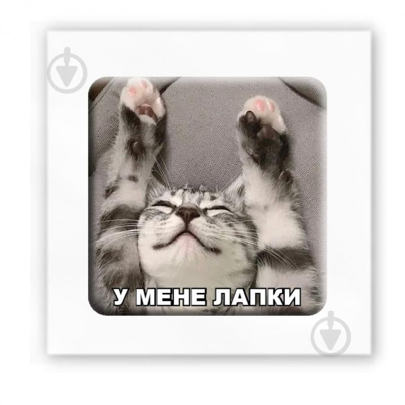 Стикер 3D Tattooshka 3D стикер "У меня лапки" - фото 1