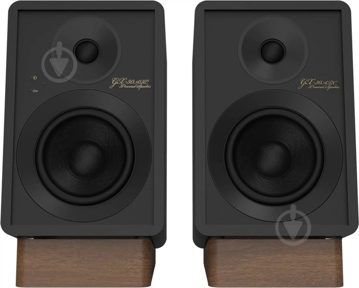 Акустическая система Onkyo Creator GX-30ARC 2.0 black (GX30ARCBCUU) - фото 2