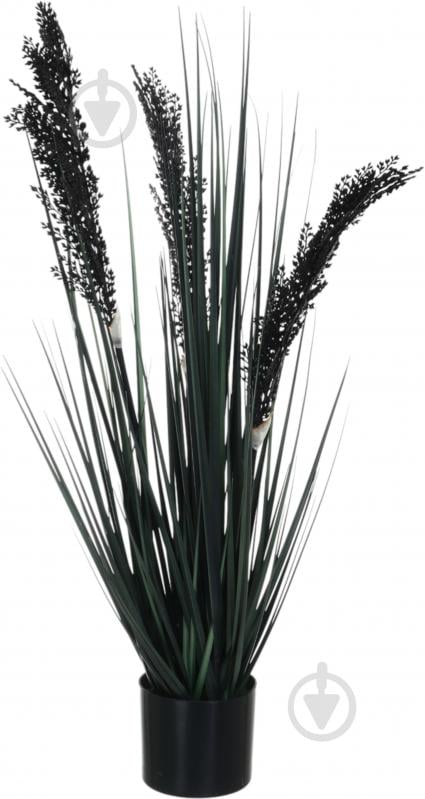 Камыш искусственный в пластиковом горшке 68 см черный Sensio - фото 1 Камыш искусственный в пластиковом горшке 68 см черный Sensio - фото 1