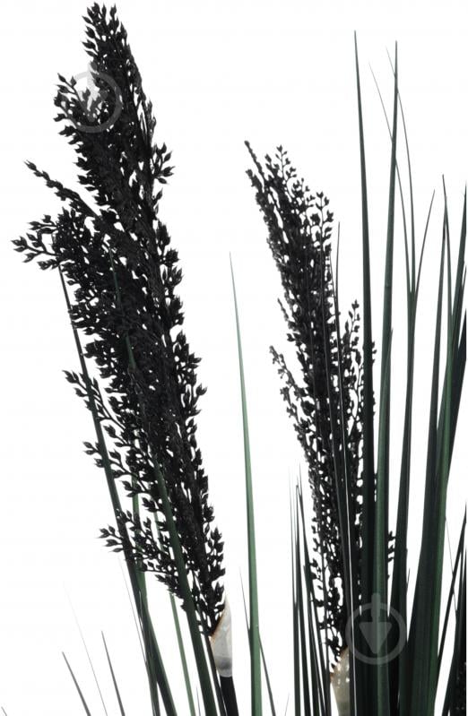 Камыш искусственный в пластиковом горшке 68 см черный Sensio - фото 2 Камыш искусственный в пластиковом горшке 68 см черный Sensio - фото 2