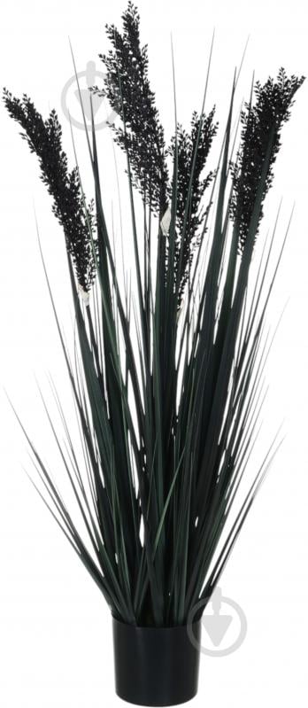 Камыш искусственный в пластиковом горшке 68 см черный Sensio - фото 3 Камыш искусственный в пластиковом горшке 68 см черный Sensio - фото 3