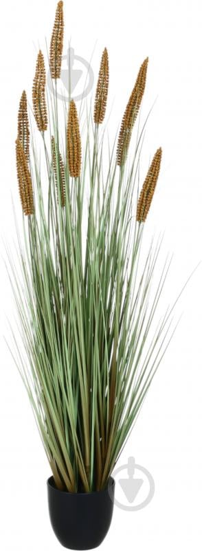 Камыш искусственный в пластиковом горшке 121 см коричневыйчерный Sensio - фото 1 Камыш искусственный в пластиковом горшке 121 см коричневыйчерный Sensio - фото 1