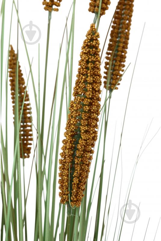 Камыш искусственный в пластиковом горшке 121 см коричневыйчерный Sensio - фото 2 Камыш искусственный в пластиковом горшке 121 см коричневыйчерный Sensio - фото 2