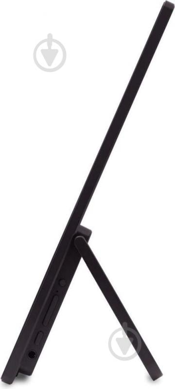Монитор Acer PM161Wbmiuux 16" (UM.ZP1EE.012) - фото 6