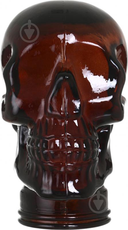 Статуетка San Miguel Head Skull 26х19х19 см коричневий - фото 1