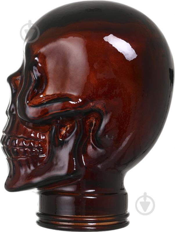Статуетка San Miguel Head Skull 26х19х19 см коричневий - фото 2