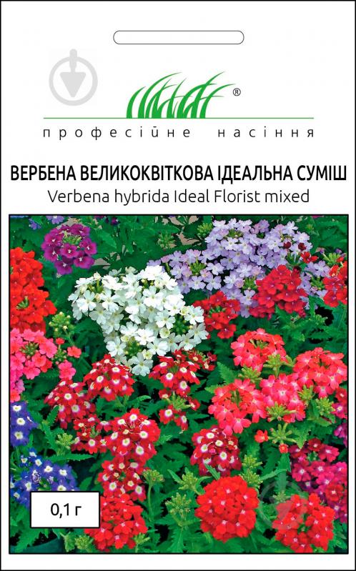 Семена Професійне насіння вербена Идеальная смесь 0,1 г - фото 1