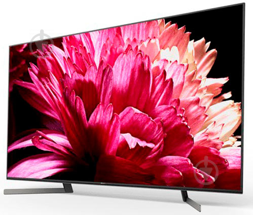 Телевизор Sony KD65XG9505BR2 - фото 3