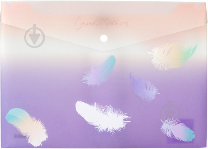 Папка А4+ Colourful Feather 02 Axent - фото 1