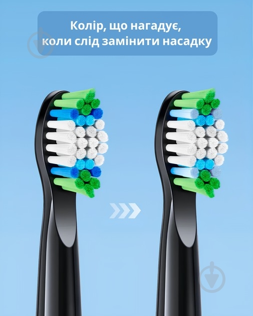 Насадки для электрической зубной щетки Bitvae Bit-D2-Bl - фото 4 Насадки для электрической зубной щетки Bitvae Bit-D2-Bl - фото 4