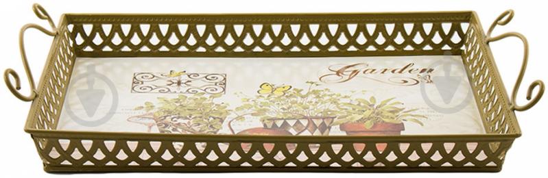 Таця Garden 30x19x4 см W3692S - фото 3 Таця Garden 30x19x4 см W3692S - фото 3
