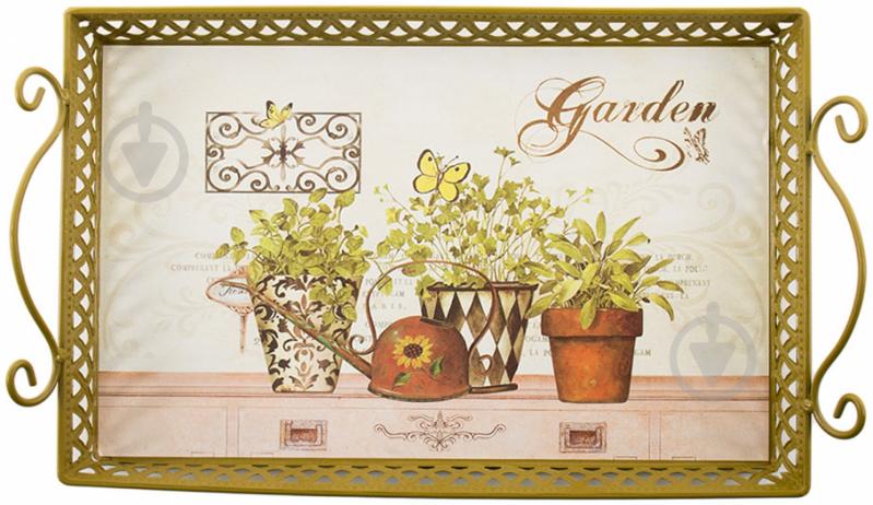 Таця Garden 30x19x4 см W3692S - фото 1 Таця Garden 30x19x4 см W3692S - фото 1
