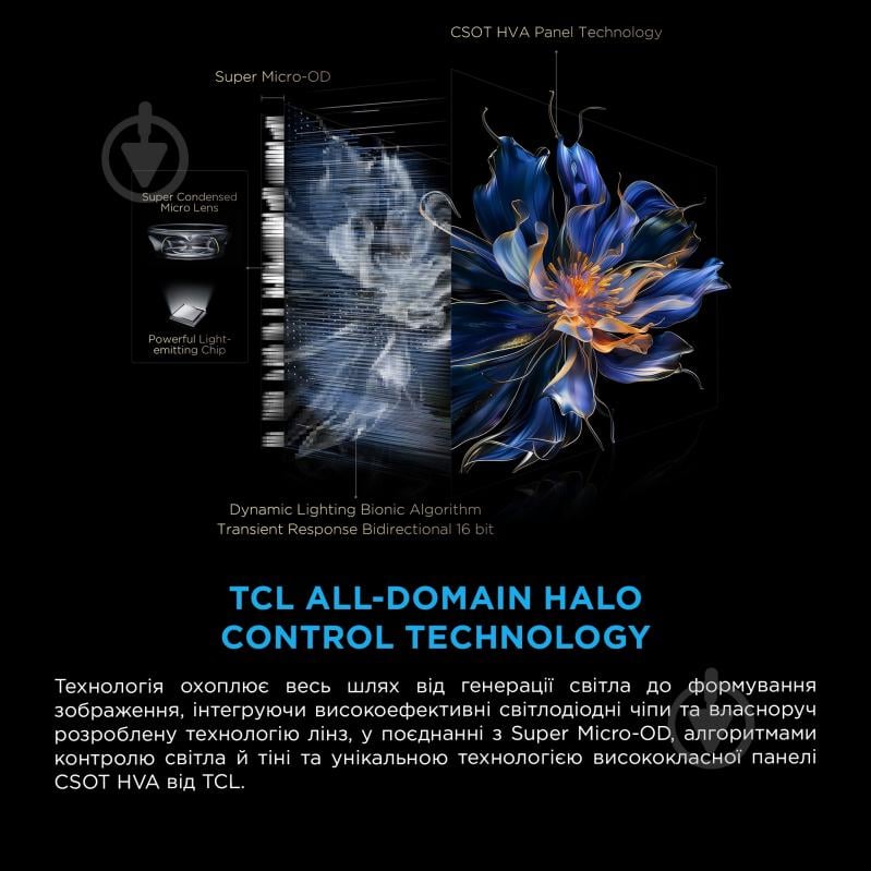 Телевизор TCL 85X11K - фото 7