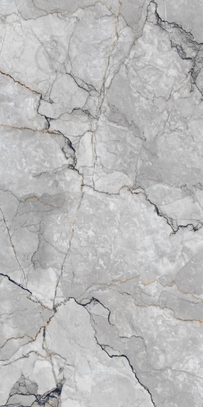 Плитка Cerossa Ceramica MARMO SILVESTRE GRIS polished 60х120 см - фото 8