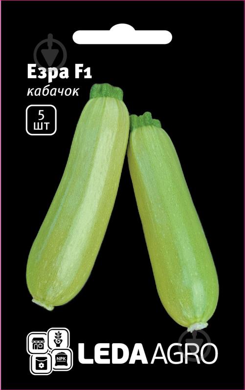 Семена LedaAgro кабачок Эзра F1 салатовый 5 шт. - фото 1