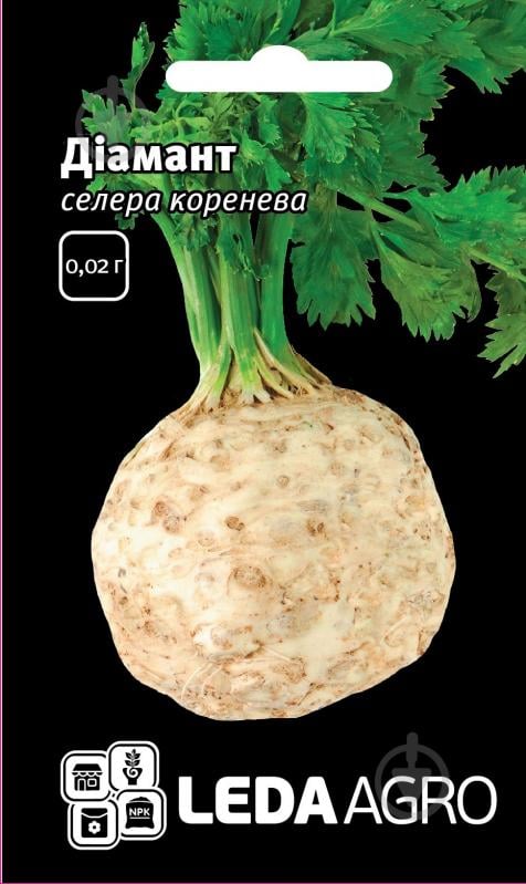 Насіння LedaAgro селера коренева Діамант коренева 0,02 г - фото 1